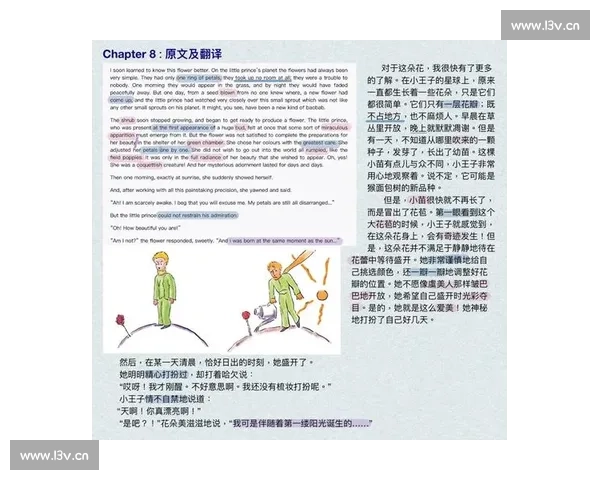 《当你沉睡时爱与命运交织，时间错位中的人生抉择与温情守护》